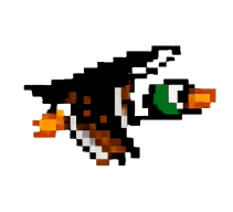 duck